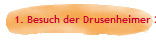 1. Besuch der Drusenheimer 2009