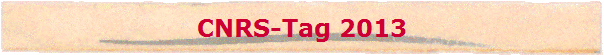 CNRS-Tag 2013