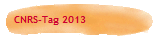 CNRS-Tag 2013