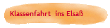 Klassenfahrt  ins Elsa
