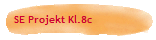 SE Projekt Kl.8c